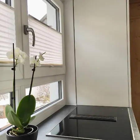 Ferienhaus Mirabell 公寓